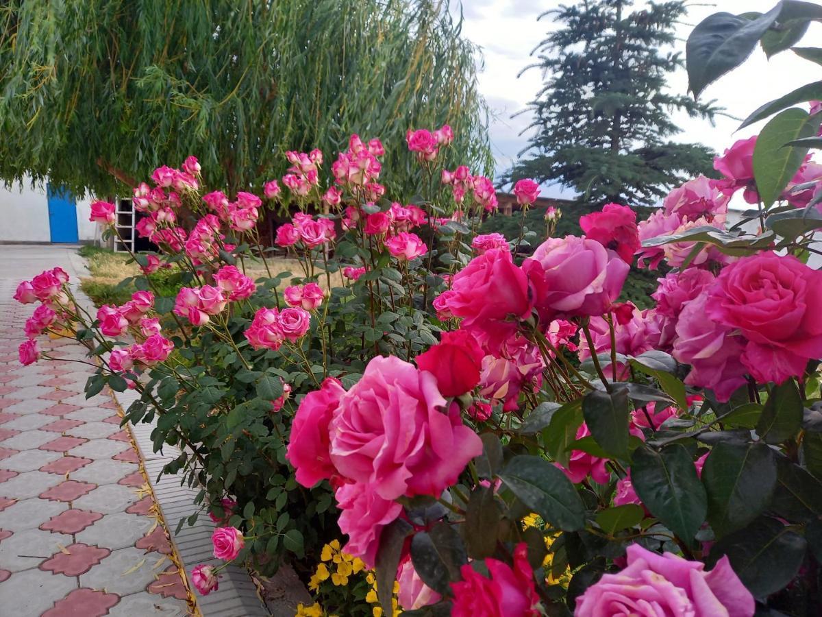Guest House Shirin Barskoon Esterno foto