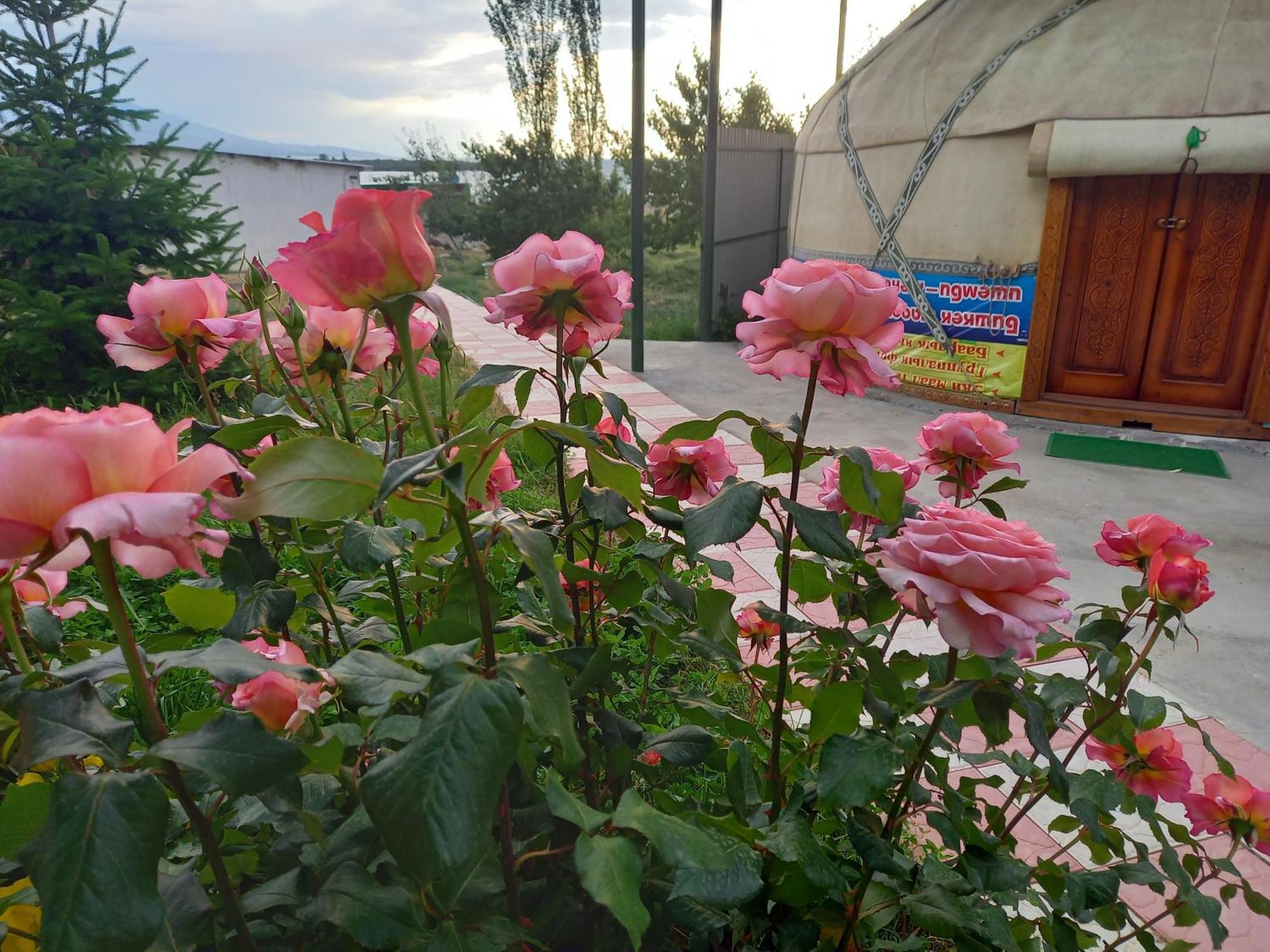 Guest House Shirin Barskoon Esterno foto